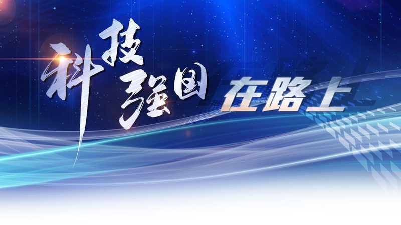 数据可视化报表：揭秘制作报价背后的考量